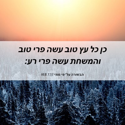 Picture 06 - הבשורה על־פי מתי 7:17 HEB - כן כל עץ טוב עשה פרי טוב - Bible Verse Picture