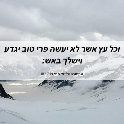Picture 06 - הבשורה על־פי מתי 7:19 HEB - וכל עץ אשר לא יעשה פרי טוב - Bible Verse Picture