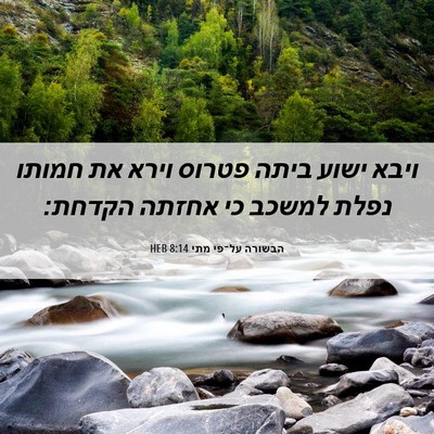 Picture 06 - הבשורה על־פי מתי 8:14 HEB - ויבא ישוע ביתה פטרוס וירא - Bible Verse Picture