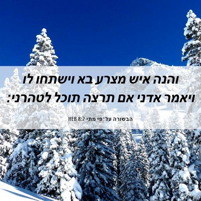 Picture 06 - הבשורה על־פי מתי 8:2 HEB - והנה איש מצרע בא וישתחו לו - Bible Verse Picture