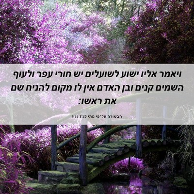 Picture 06 - הבשורה על־פי מתי 8:20 HEB - ויאמר אליו ישוע לשועלים יש - Bible Verse Picture