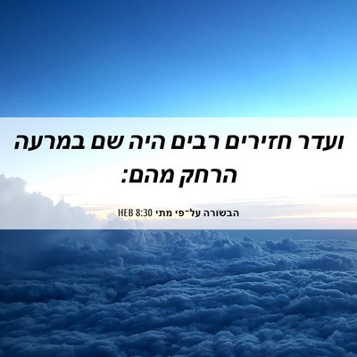 Picture 06 - הבשורה על־פי מתי 8:30 HEB - ועדר חזירים רבים היה שם - Bible Verse Picture