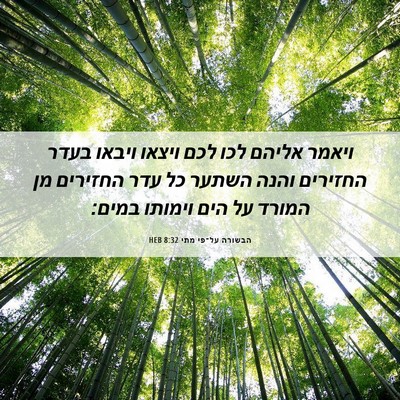 Picture 06 - הבשורה על־פי מתי 8:32 HEB - ויאמר אליהם לכו לכם ויצאו - Bible Verse Picture