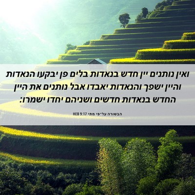 Picture 06 - הבשורה על־פי מתי 9:17 HEB - ואין נותנים יין חדש בנאדות - Bible Verse Picture