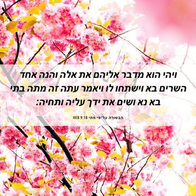 Picture 06 - הבשורה על־פי מתי 9:18 HEB - ויהי הוא מדבר אליהם את אלה - Bible Verse Picture