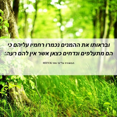 Picture 06 - הבשורה על־פי מתי 9:36 HEB - ובראותו את ההמנים נכמרו - Bible Verse Picture
