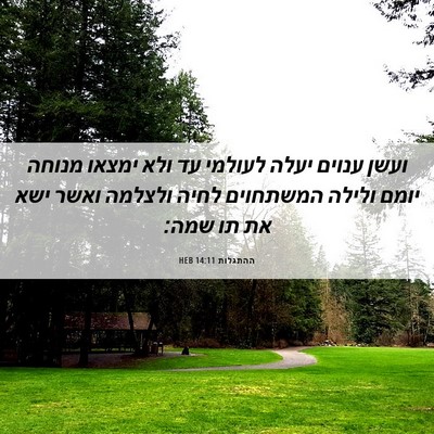 Picture 06 - ההתגלות 14:11 HEB - ועשן ענוים יעלה לעולמי עד - Bible Verse Picture