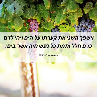 Picture 06 - ההתגלות 16:3 HEB - וישפך השני את קערתו על הים - Bible Verse Picture