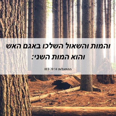 Picture 06 - ההתגלות 20:14 HEB - והמות והשאול השלכו באגם - Bible Verse Picture