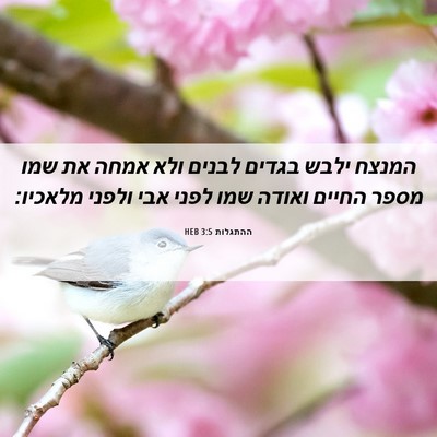 Picture 06 - ההתגלות 3:5 HEB - המנצח ילבש בגדים לבנים ולא - Bible Verse Picture