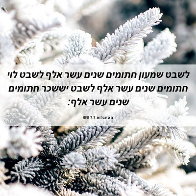 Picture 06 - ההתגלות 7:7 HEB - לשבט שמעון חתומים שנים עשר - Bible Verse Picture