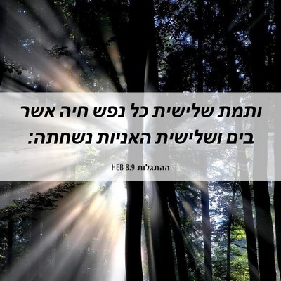 Picture 06 - ההתגלות 8:9 HEB - ותמת שלישית כל נפש חיה אשר - Bible Verse Picture