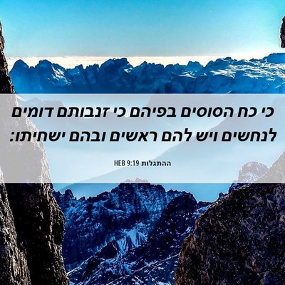 Picture 06 - ההתגלות 9:19 HEB - כי כח הסוסים בפיהם כי - Bible Verse Picture
