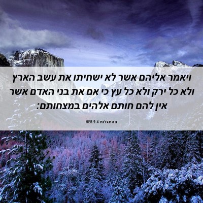 Picture 06 - ההתגלות 9:4 HEB - ויאמר אליהם אשר לא ישחיתו - Bible Verse Picture