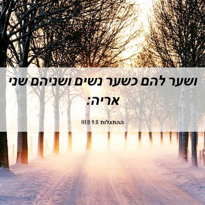 Picture 06 - ההתגלות 9:8 HEB - ושער להם כשער נשים ושניהם - Bible Verse Picture