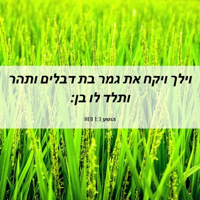Picture 06 - הושע 1:3 HEB - וילך ויקח את גמר בת דבלים - Bible Verse Picture