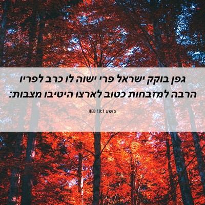 Picture 06 - הושע 10:1 HEB - גפן בוקק ישראל פרי ישוה לו - Bible Verse Picture