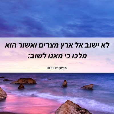 Picture 06 - הושע 11:5 HEB - לא ישוב אל ארץ מצרים ואשור - Bible Verse Picture