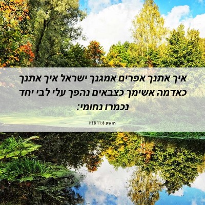 Picture 06 - הושע 11:8 HEB - איך אתנך אפרים אמגנך ישראל - Bible Verse Picture