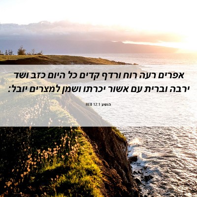 Picture 06 - הושע 12:1 HEB - אפרים רעה רוח ורדף קדים כל - Bible Verse Picture