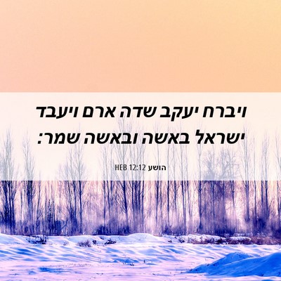 Picture 06 - הושע 12:12 HEB - ויברח יעקב שדה ארם ויעבד - Bible Verse Picture