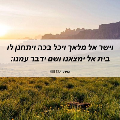 Picture 06 - הושע 12:4 HEB - וישר אל מלאך ויכל בכה - Bible Verse Picture