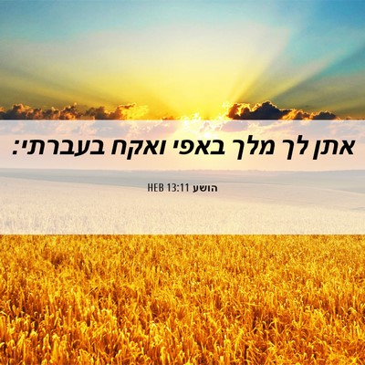 Picture 06 - הושע 13:11 HEB - אתן לך מלך באפי ואקח - Bible Verse Picture