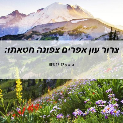 Picture 06 - הושע 13:12 HEB - צרור עון אפרים צפונה - Bible Verse Picture