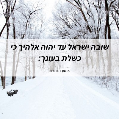 Picture 06 - הושע 14:1 HEB - שובה ישראל עד יהוה אלהיך כי - Bible Verse Picture