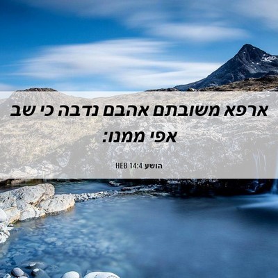Picture 06 - הושע 14:4 HEB - ארפא משובתם אהבם נדבה כי שב - Bible Verse Picture