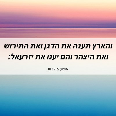 Picture 06 - הושע 2:22 HEB - והארץ תענה את הדגן ואת - Bible Verse Picture