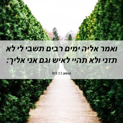 Picture 06 - הושע 3:3 HEB - ואמר אליה ימים רבים תשבי לי - Bible Verse Picture