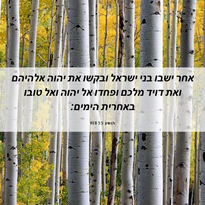 Picture 06 - הושע 3:5 HEB - אחר ישבו בני ישראל ובקשו את - Bible Verse Picture