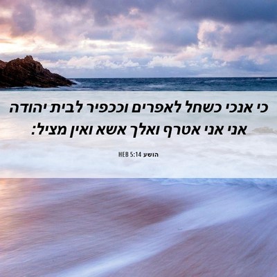 Picture 06 - הושע 5:14 HEB - כי אנכי כשחל לאפרים וככפיר - Bible Verse Picture