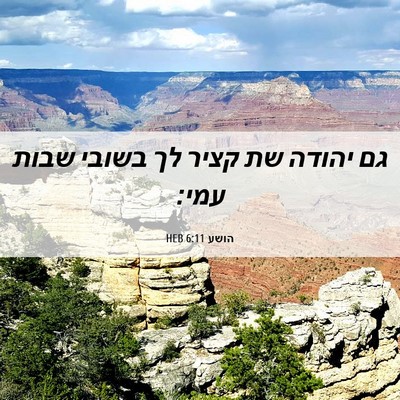Picture 06 - הושע 6:11 HEB - גם יהודה שת קציר לך בשובי - Bible Verse Picture