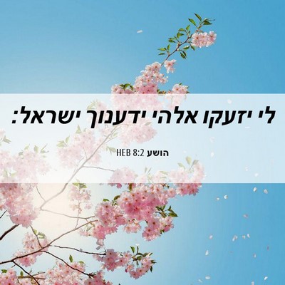 Picture 06 - הושע 8:2 HEB - לי יזעקו אלהי ידענוך - Bible Verse Picture