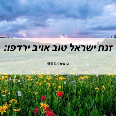 Picture 06 - הושע 8:3 HEB - זנח ישראל טוב אויב - Bible Verse Picture