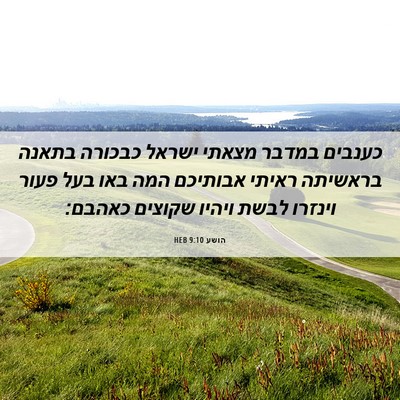Picture 06 - הושע 9:10 HEB - כענבים במדבר מצאתי ישראל - Bible Verse Picture