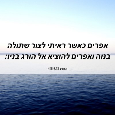 Picture 06 - הושע 9:13 HEB - אפרים כאשר ראיתי לצור - Bible Verse Picture