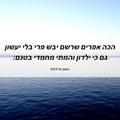 Picture 06 - הושע 9:16 HEB - הכה אפרים שרשם יבש פרי בלי - Bible Verse Picture