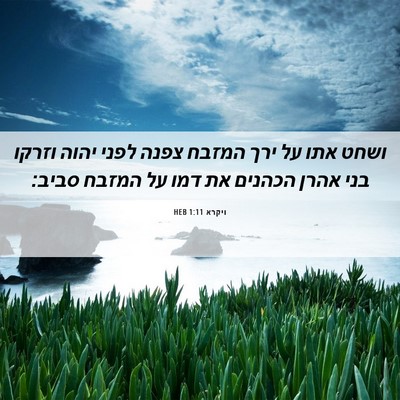 Picture 06 - ויקרא 1:11 HEB - ושחט אתו על ירך המזבח צפנה - Bible Verse Picture