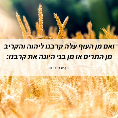 Picture 06 - ויקרא 1:14 HEB - ואם מן העוף עלה קרבנו ליהוה - Bible Verse Picture