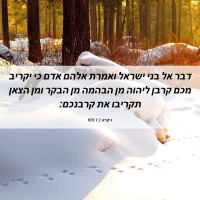Picture 06 - ויקרא 1:2 HEB - דבר אל בני ישראל ואמרת אלהם - Bible Verse Picture