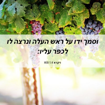 Picture 06 - ויקרא 1:4 HEB - וסמך ידו על ראש העלה ונרצה - Bible Verse Picture