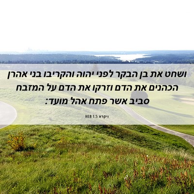Picture 06 - ויקרא 1:5 HEB - ושחט את בן הבקר לפני יהוה - Bible Verse Picture