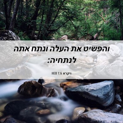 Picture 06 - ויקרא 1:6 HEB - והפשיט את העלה ונתח אתה - Bible Verse Picture