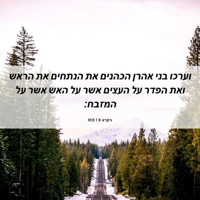 Picture 06 - ויקרא 1:8 HEB - וערכו בני אהרן הכהנים את - Bible Verse Picture