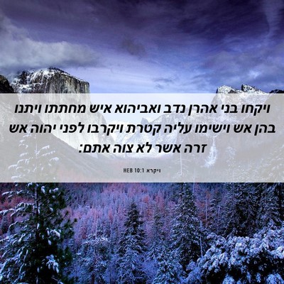 Picture 06 - ויקרא 10:1 HEB - ויקחו בני אהרן נדב ואביהוא - Bible Verse Picture
