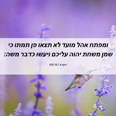Picture 06 - ויקרא 10:7 HEB - ומפתח אהל מועד לא תצאו פן - Bible Verse Picture