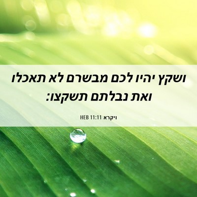 Picture 06 - ויקרא 11:11 HEB - ושקץ יהיו לכם מבשרם לא - Bible Verse Picture